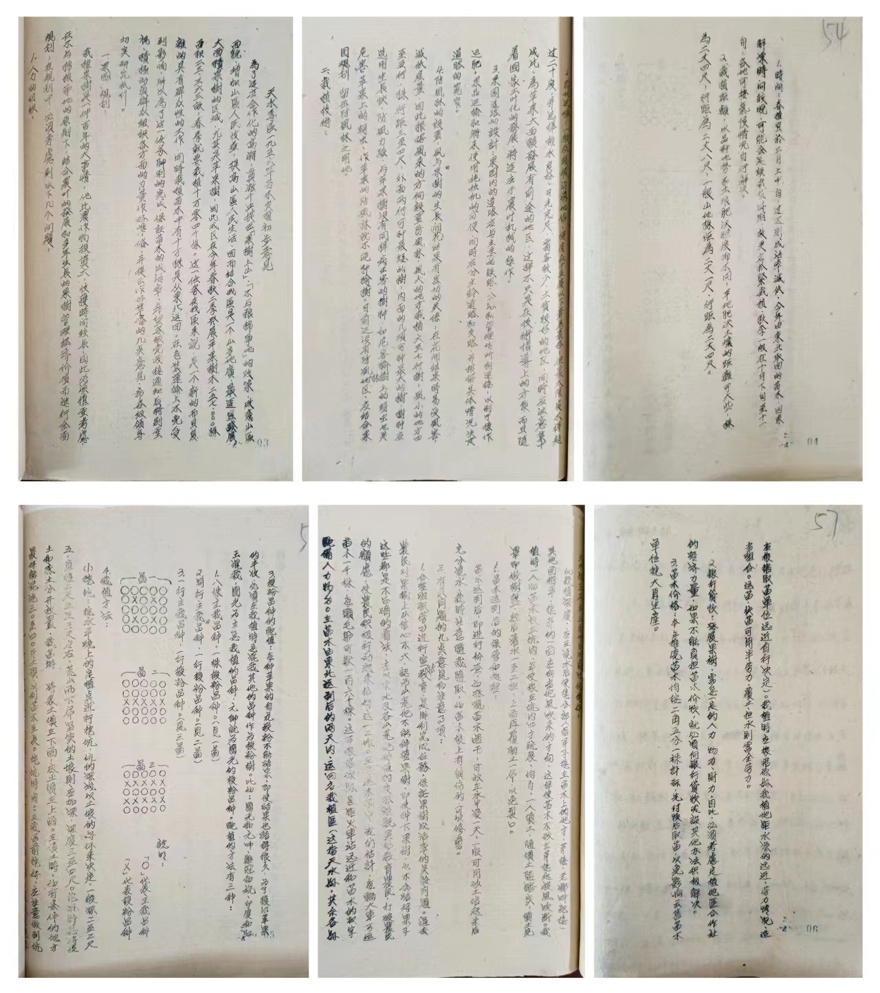 图片1.jpg